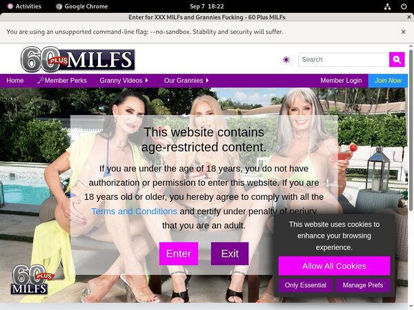 60 Plus MILFs Webcams