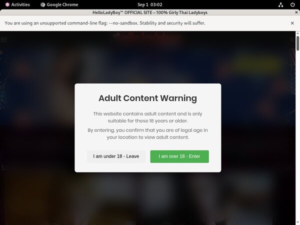 Accounts Of Helloladyboy