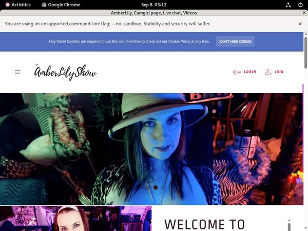 AmberLily Cam