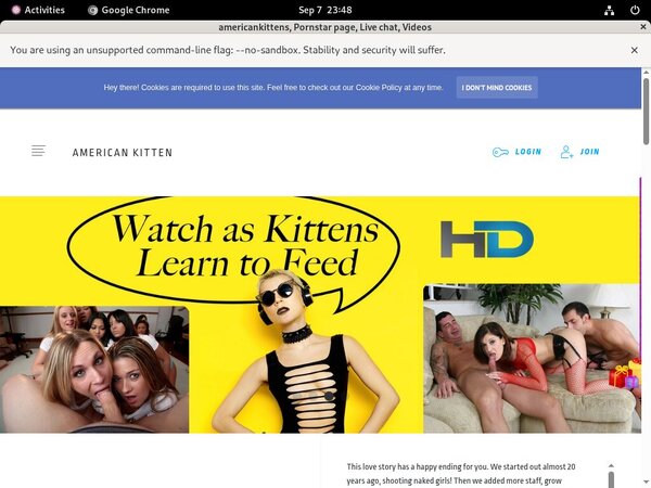 Americankittens Free App