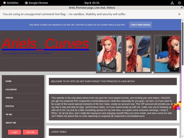 Ariel Passwords