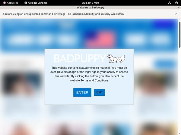 Badpuppy.com Account Discount