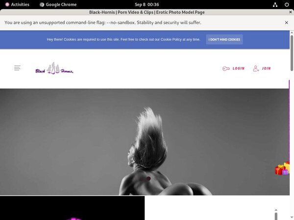 Black-hornis.net Payporn