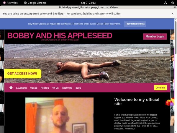 BobbyAppleseed 2017