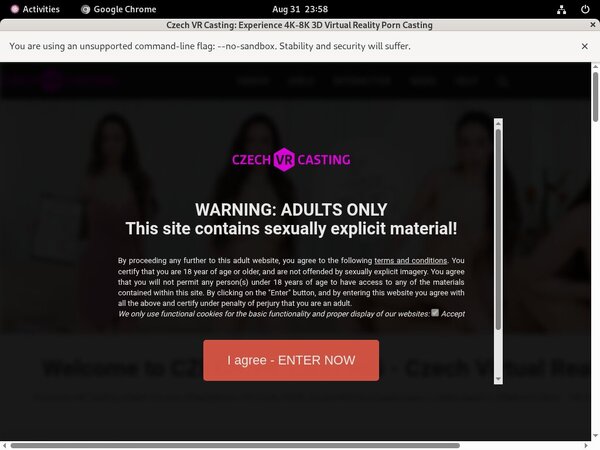 Czechvrcasting.com Limited Deal