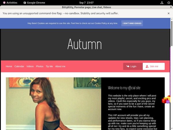 Discount Pass Bittykitty.modelcentro.com