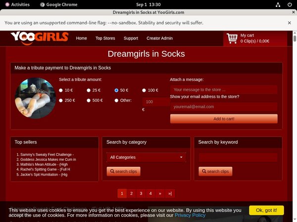 DreamgirlsInSocks Discount Link Code