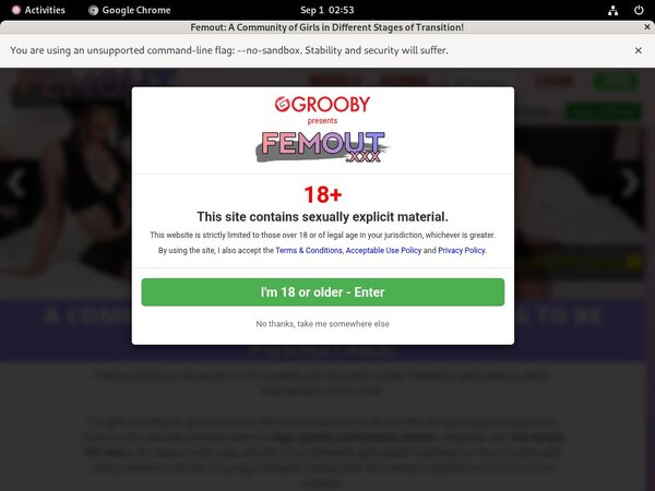 Femout Special Discount