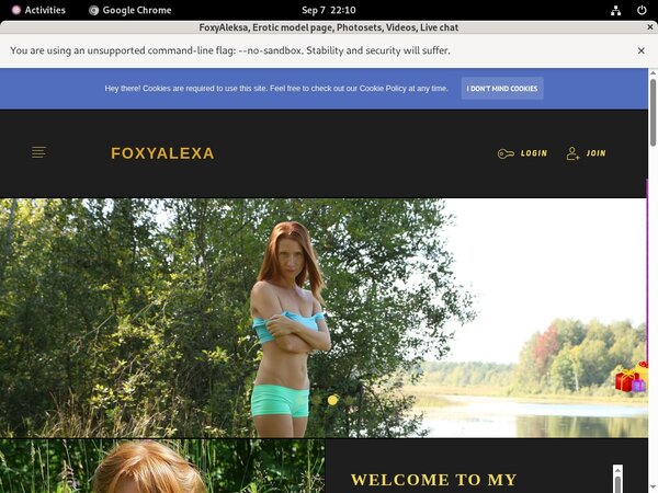 Foxyaleksa.com Working Pass