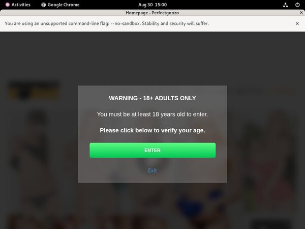 Free Accounts On Perfect Gonzo