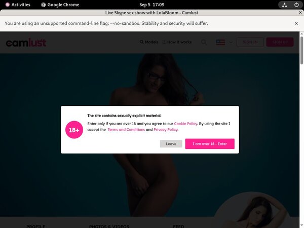 Free Camlust.com Account Login