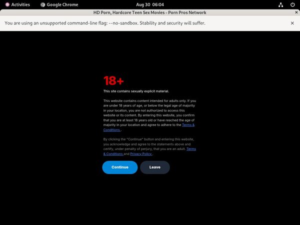 Free Pornprosnetwork Preview