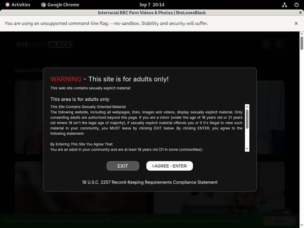 Free She Loves Black Hacked Passwords