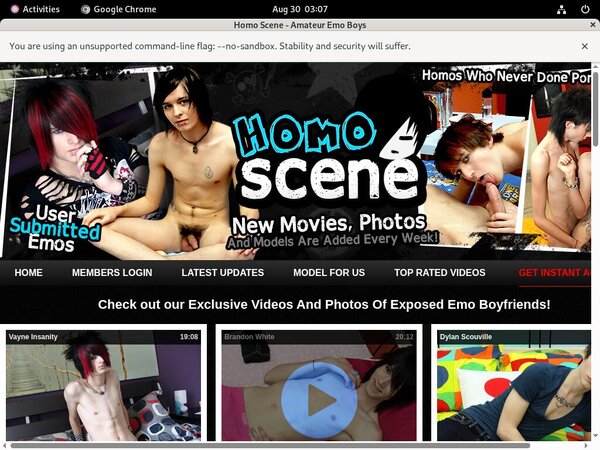 Free Video Homoscene
