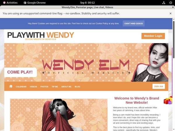 Free Wendy Elm Passwords