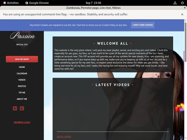 Free Zambooza.modelcentro.com Discount Trial