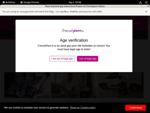 Frenchporn Passwort