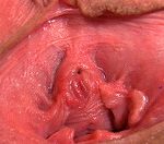 Gape My Pussy Gratuite