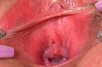 Gape My Pussy Gratuite s6