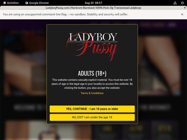 Get Free Ladyboypussy.com Account