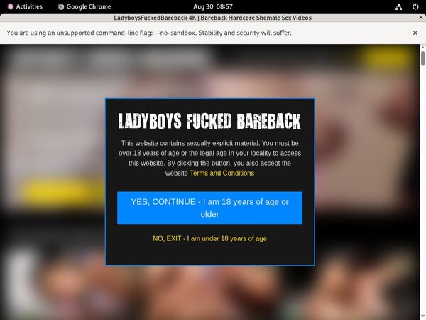 Get Ladyboys Fucked Bareback Password