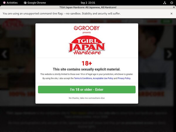 Get Tgirljapanhardcore.com For Free