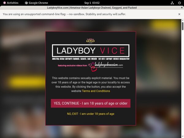 Ladyboy Vice Best Payporn