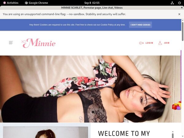 MINNIE SCARLET Paypal Purchase