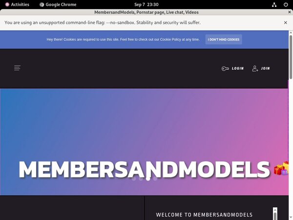 MembersandModels ?????