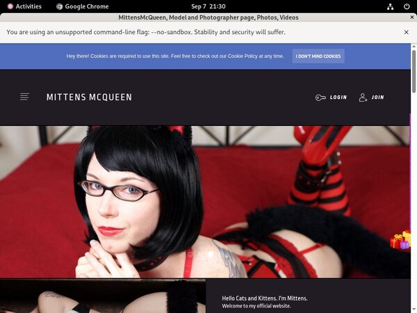 Mittens McQueen Password Site