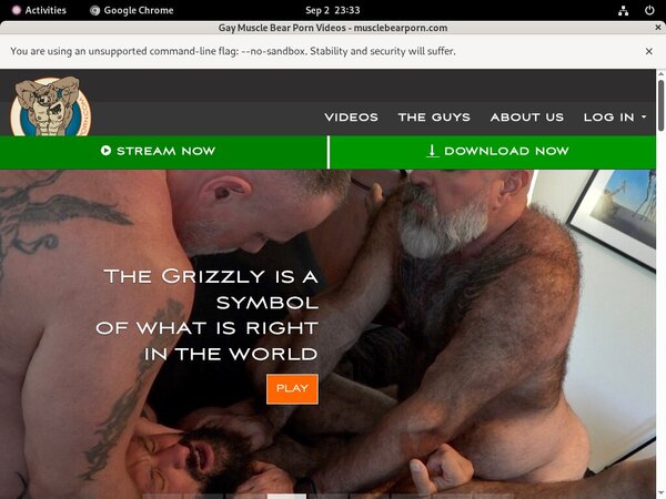 Muscle Bear Porn Usernames