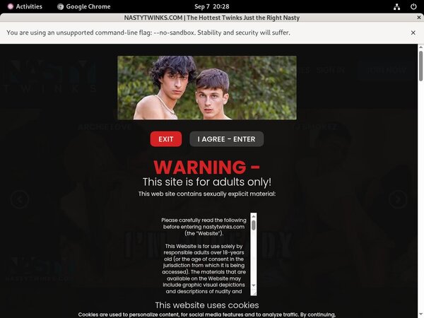 Nastytwinks.com Discount Tour