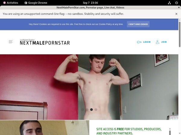 NextMalePornStar.com Site Rip Link NextMalePornStar.com Site Rip Link