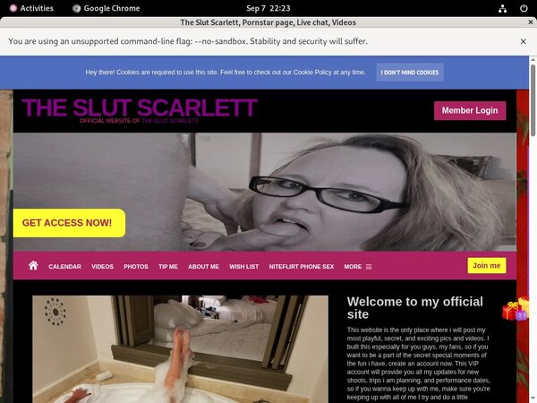 Porn The Slut Scarlett