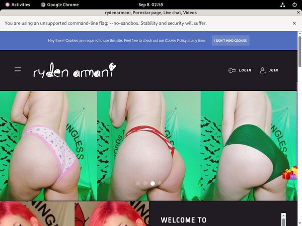 Rydenarmani Online
