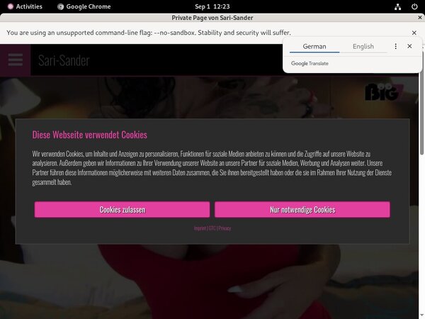 Sari-sander.com Free Videos