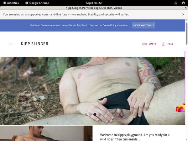 Save On Kippslingerxxx.modelcentro.com
