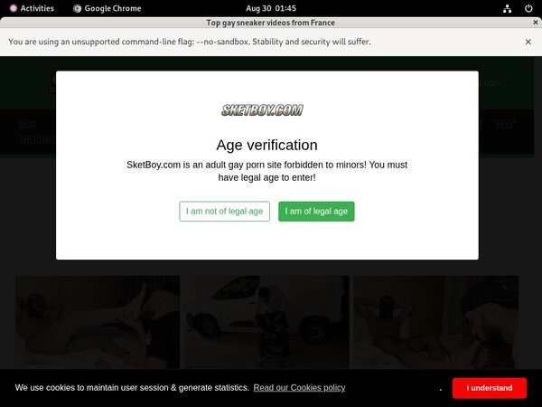 Sketboy.com Username Password