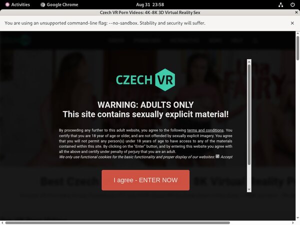 Subscribe To Czech VR