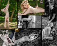 Subspace Land Free Trial Member s3