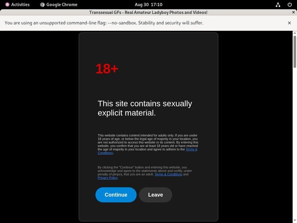 Transsexual GFs Free Logins 2018