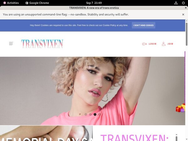 Transvixen.com Accounts For Free