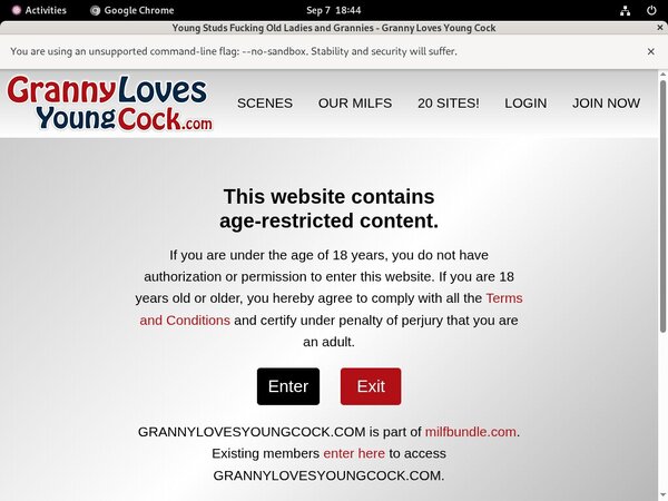 Try Granny Loves Young Cock Free