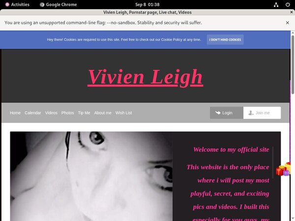 Vivien Leigh Tour