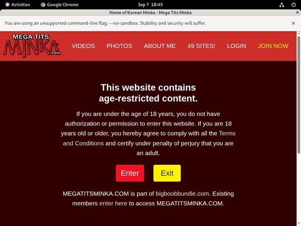 Where To Get Free Megatitsminka.com Account