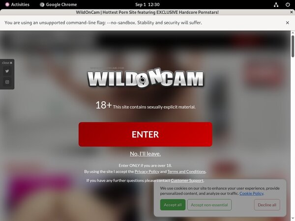 Wild On Cam Paysafecard