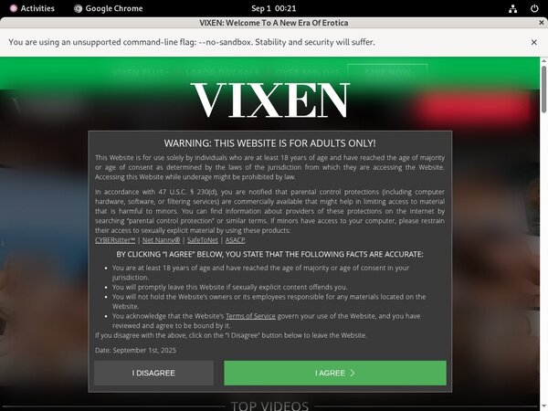 Vixen Kink Vixen Kink