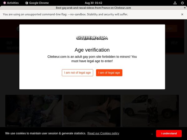 Site Rip Citebeur