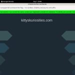 Password Kitty’s Kuriosities Free