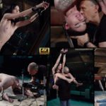 Subspaceland Discount Id